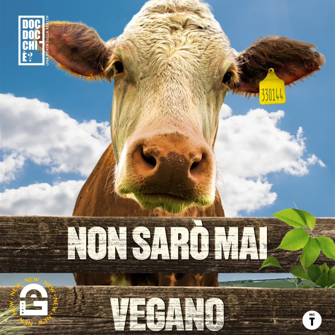 SELEZIONE DOC PRIMA VISIONE