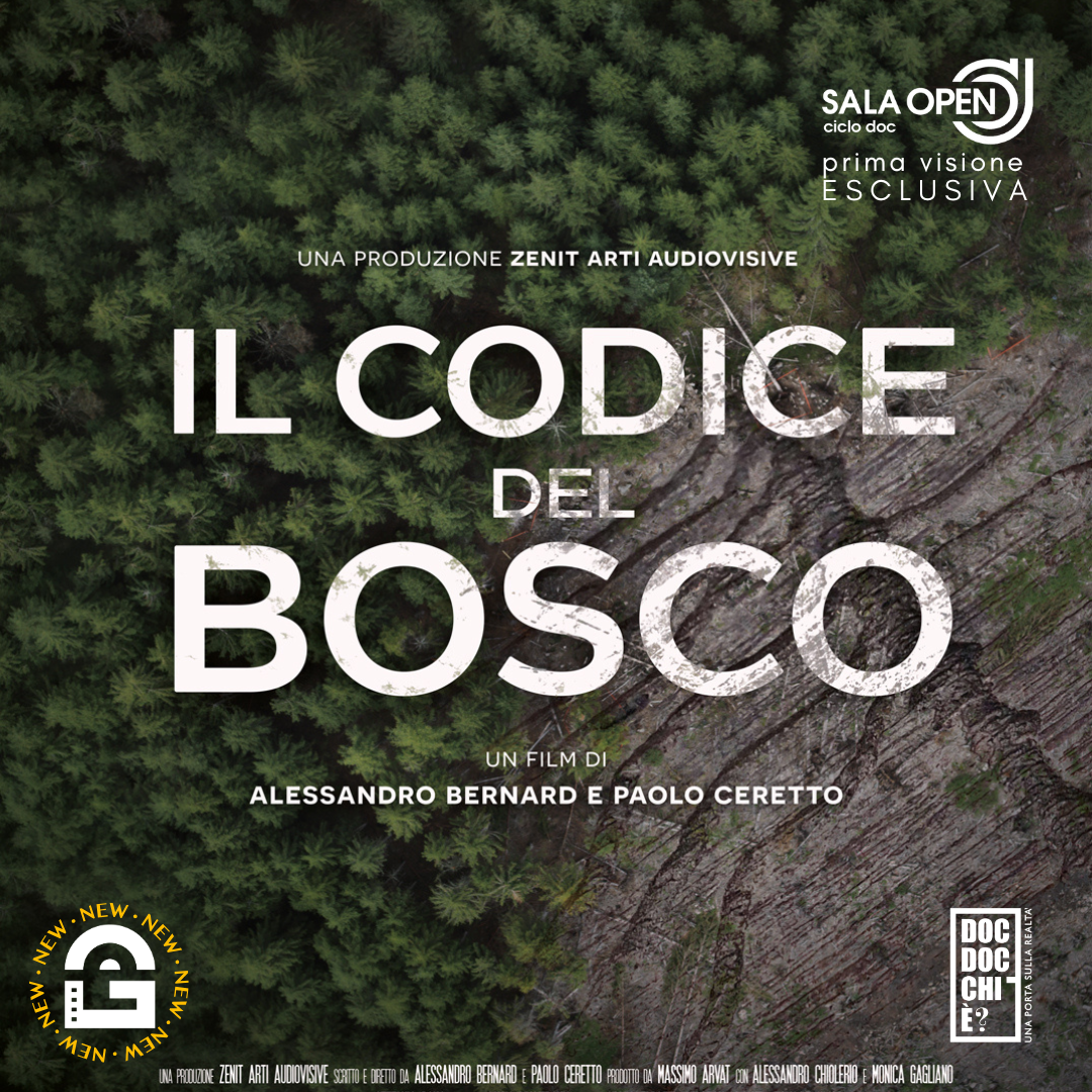 SALA OPEN CICLO DOC